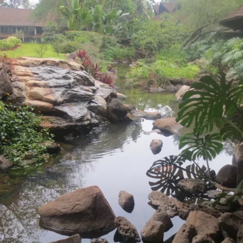 Betty Williams-KENY-10