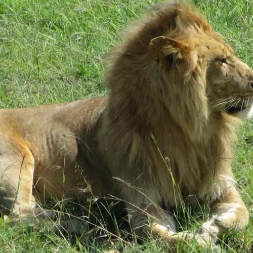 Betty Williams-Kenya-74