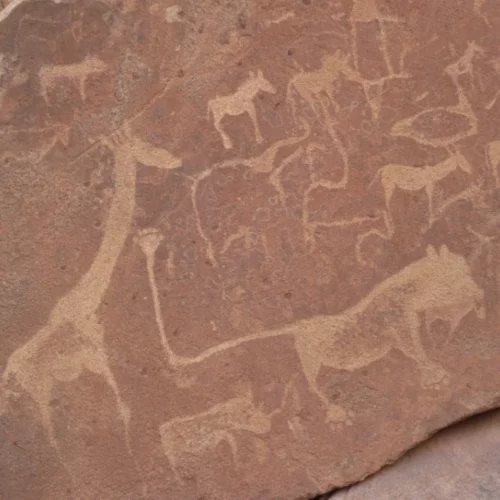 Brad Mcpartland32 - Namibia Skeleton Coast and Damaraland