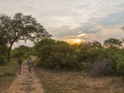 Two guides leading a bush walk at sunset in Kruger National Park, offering an immersive safari experience.