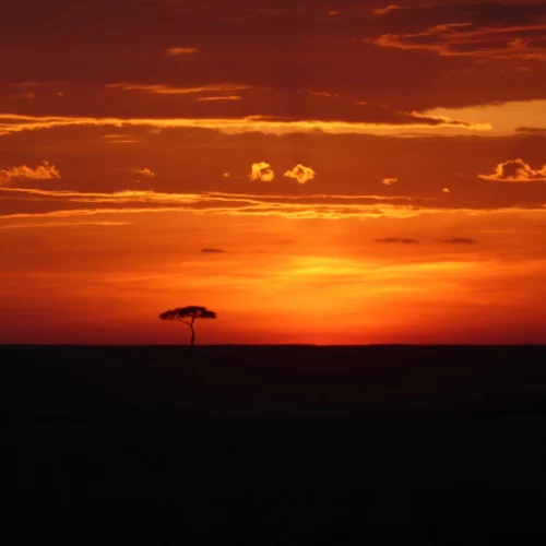 CARIN BINDER MOZAMBIQUE-31