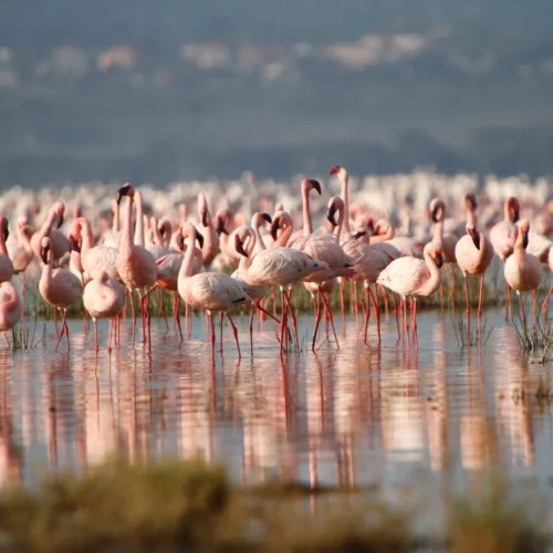 CARIN BINDER MOZAMBIQUE-32