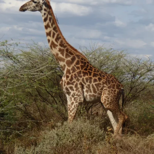 CARIN BINDER MOZAMBIQUE-33