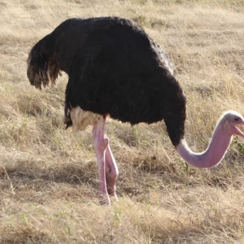 CARIN BINDER MOZAMBIQUE-37