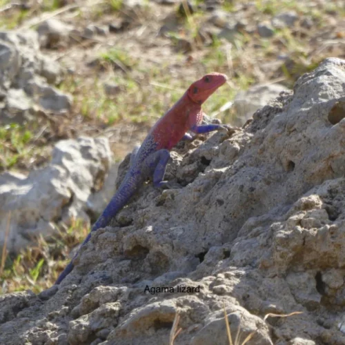 CARIN BINDER MOZAMBIQUE-41