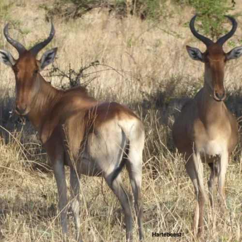 CARIN BINDER MOZAMBIQUE-43