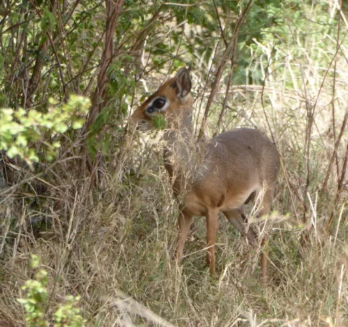 CARIN BINDER MOZAMBIQUE-47