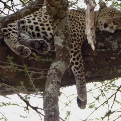 CARIN BINDER MOZAMBIQUE-49