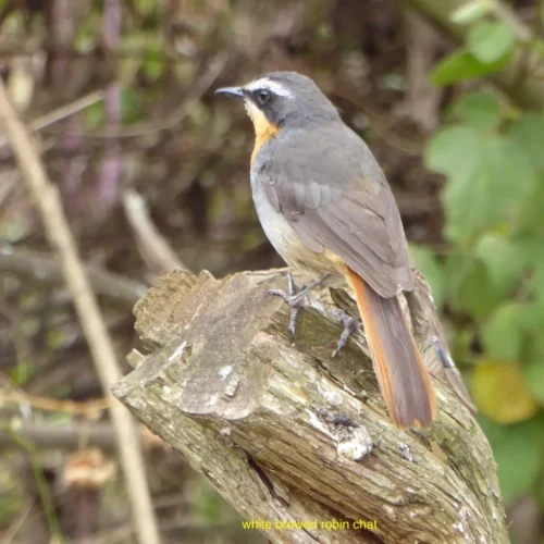 CARIN BINDER MOZAMBIQUE-50