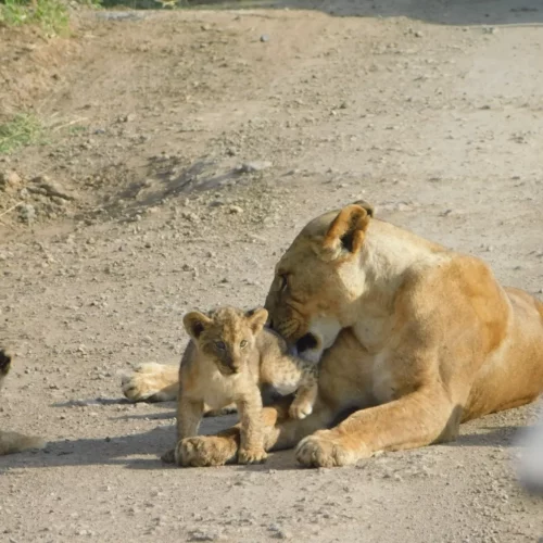 Cara Goldberg Kenya-22