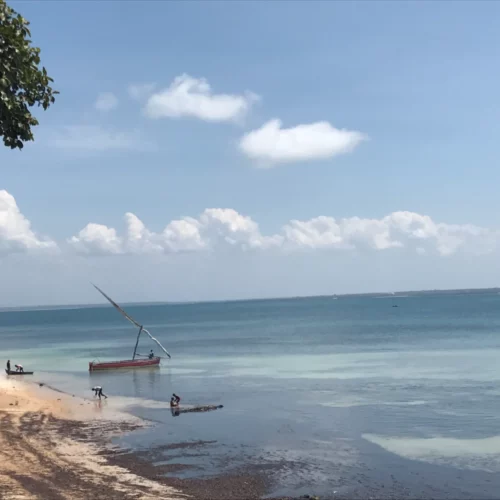 Daniel Rocha Mozambique-44