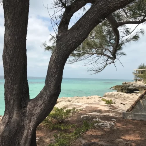 Daniel Rocha Mozambique-53