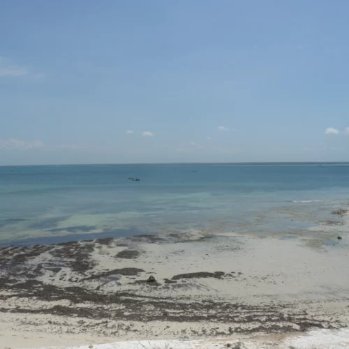 Daniel Rocha Mozambique-55