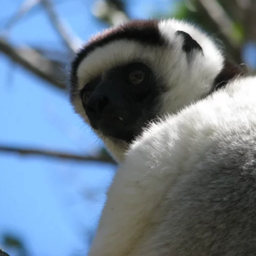 Eliane Madagascar (129)