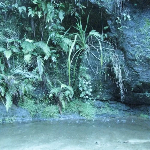 Eliane Madagascar (146)