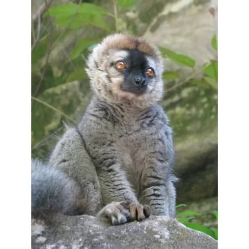 Eliane Madagascar (163)