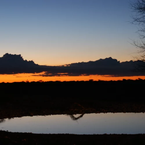 Etosha National Park Namibia(20)