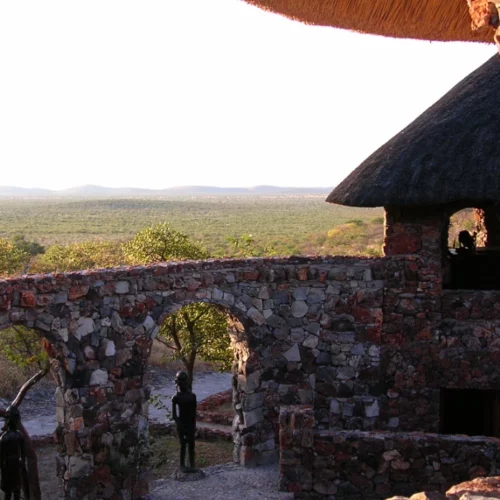 Etosha National Park Namibia(99)