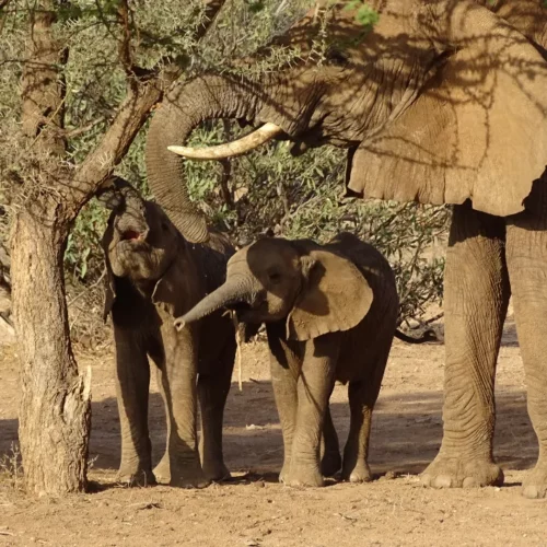 Gwenda Bates Kenya-24