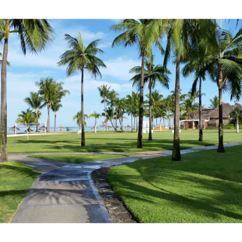 MU-Caroline Guedes Corrêa de Toledo-20151008_074717