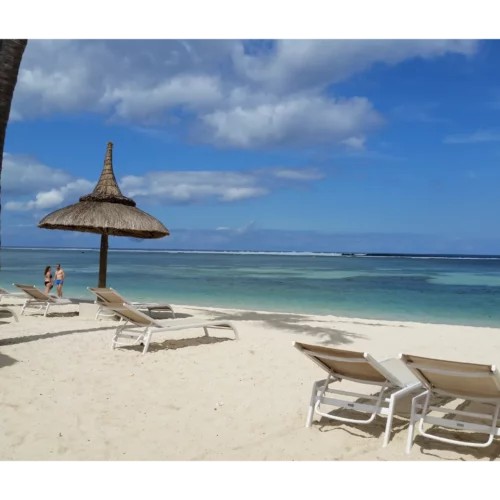 MU-Caroline Guedes Corrêa de Toledo-20151008_095645