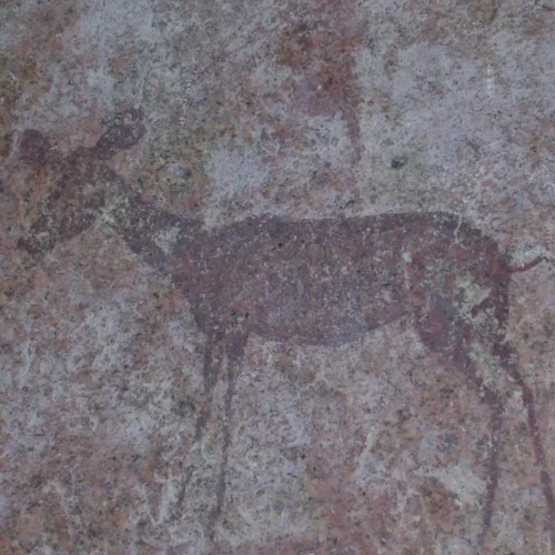 Namibia Skeleton Coast and Damaraland (13)