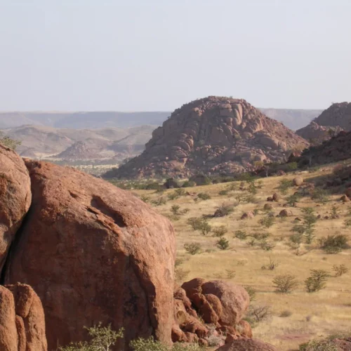 Namibia Skeleton Coast and Damaraland (19)