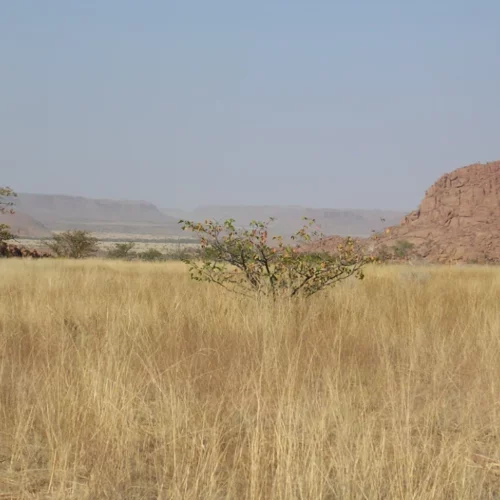 Namibia Skeleton Coast and Damaraland (46)