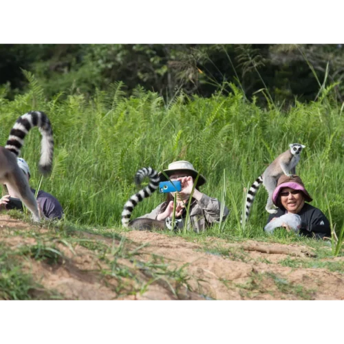 ROSE KUNG MADAGASCAR-012