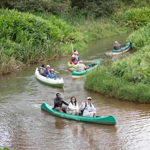 ROSE KUNG MADAGASCAR-029