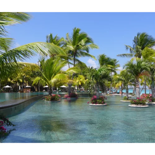 SUELY AGOSTINHO MU-12