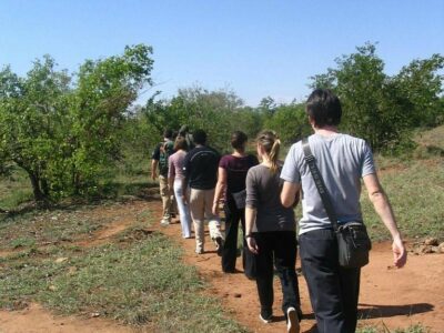 Sabi bush walks