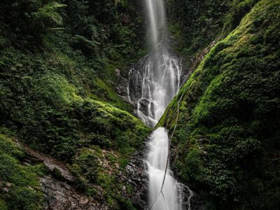 Waterdall Nyungwe
