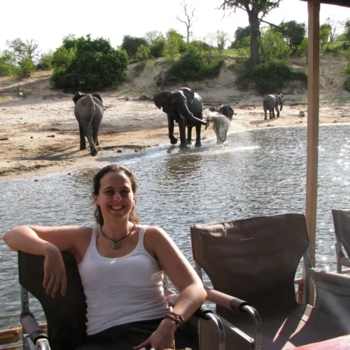 chobe-safari-1