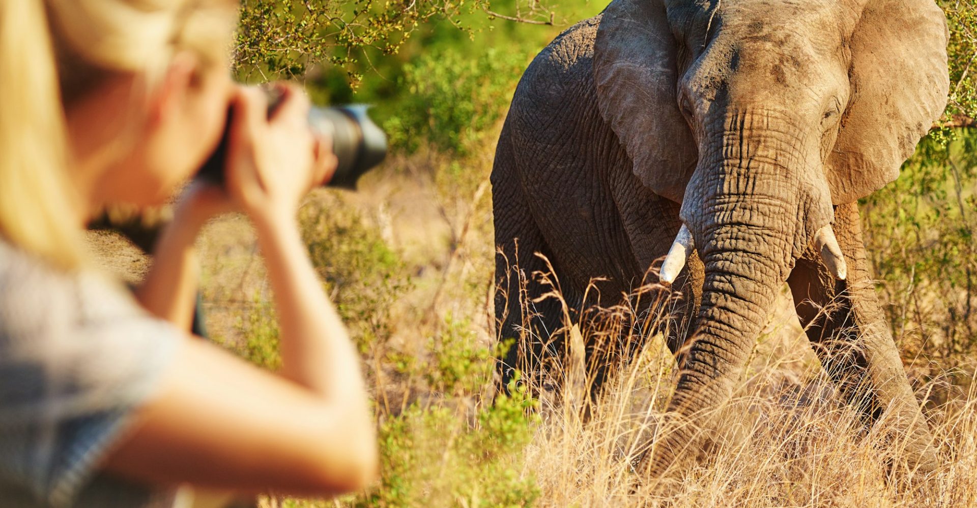 cropped-shot-of-a-female-tourist-taking-photographs-of-elephants-while-on-safari.jpg