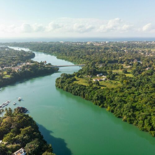 High angle shot of a river going through the tropical forest captured in Mombasa, Kenya