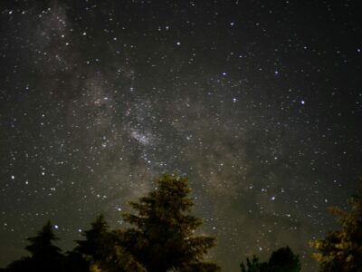 Night sky stars over treetops.