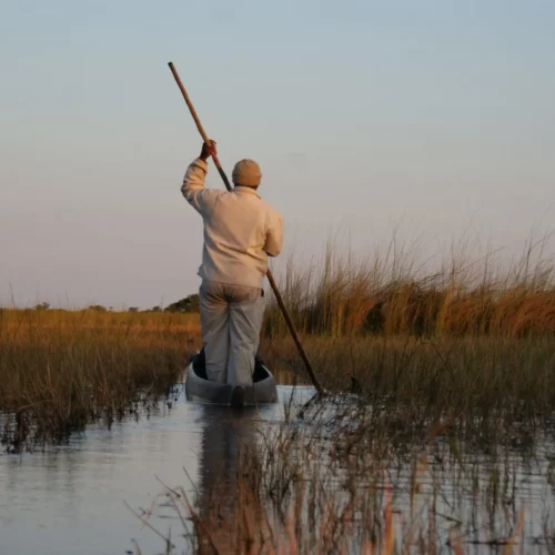 okavango-delta-safari-1