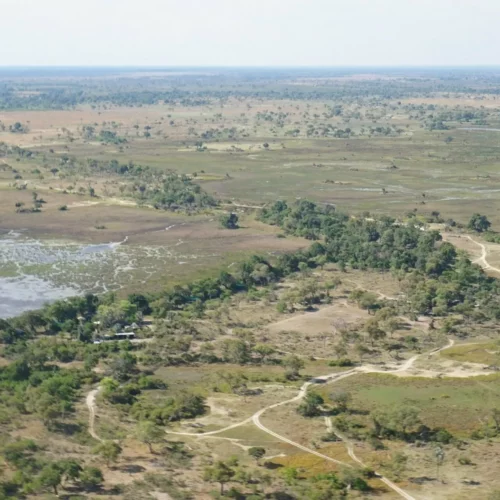 okavango-delta-safari-7