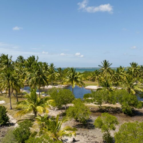 Picturesque scene of Mocimboa da Praia in Cabo Delgado, Mozambique